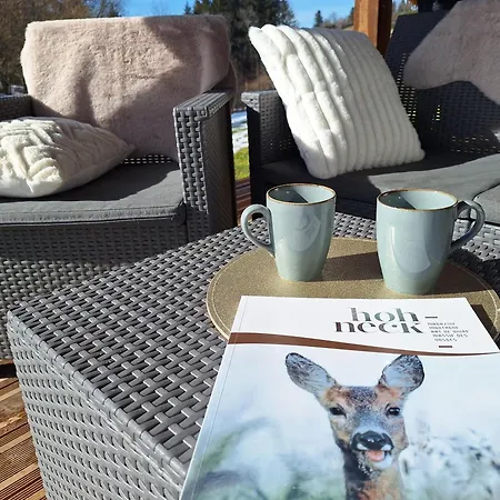 L'appel De La Forêt Chalé Gérardmer