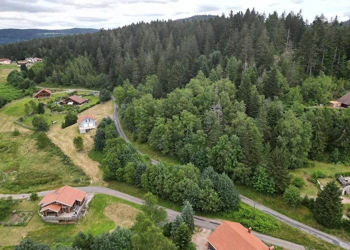 L'appel De La Foret *