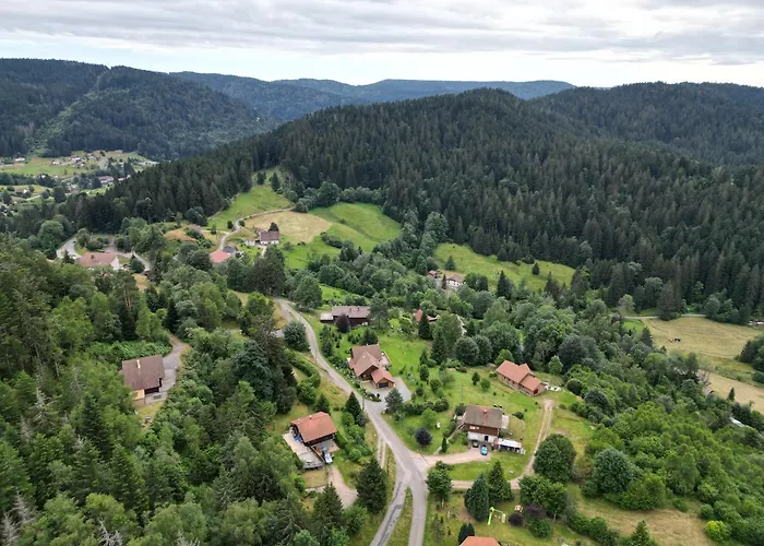 L'appel De La Foret * Gérardmer