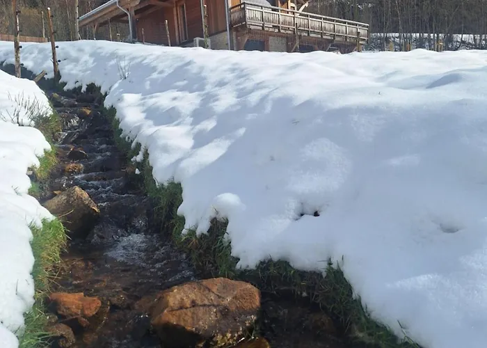 L'appel De La Foret Gérardmer